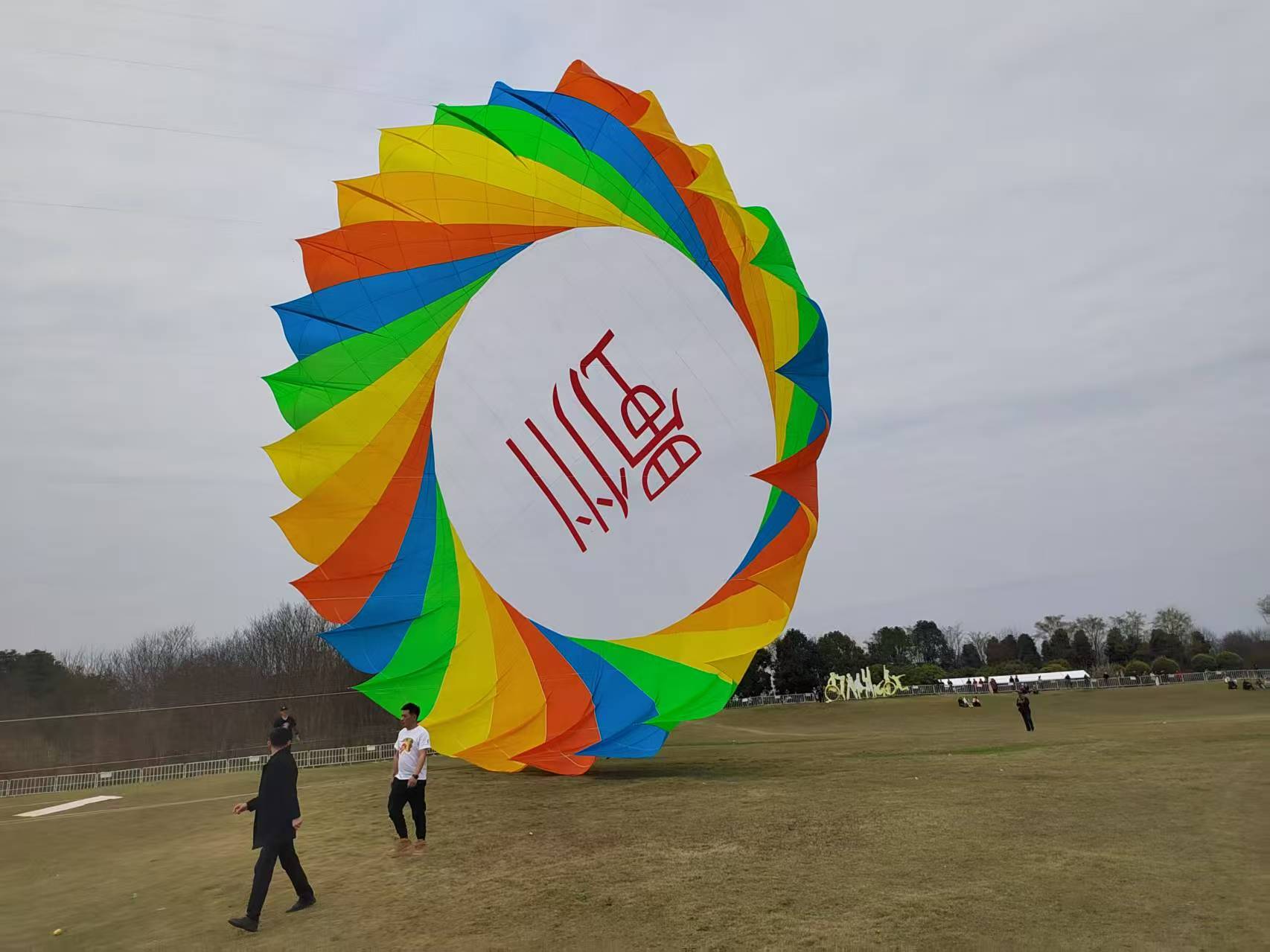秦皇岛市软体风筝定制风筝批发 - 方案