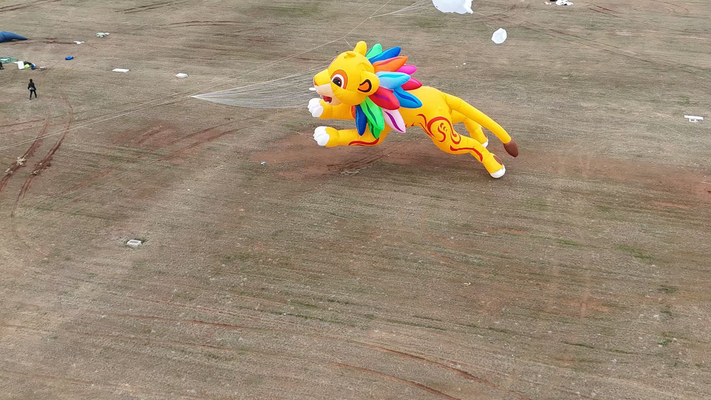 秦皇岛市品牌风筝定制软体风筝定制 - 厂家